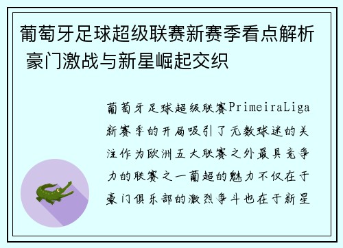 葡萄牙足球超级联赛新赛季看点解析 豪门激战与新星崛起交织